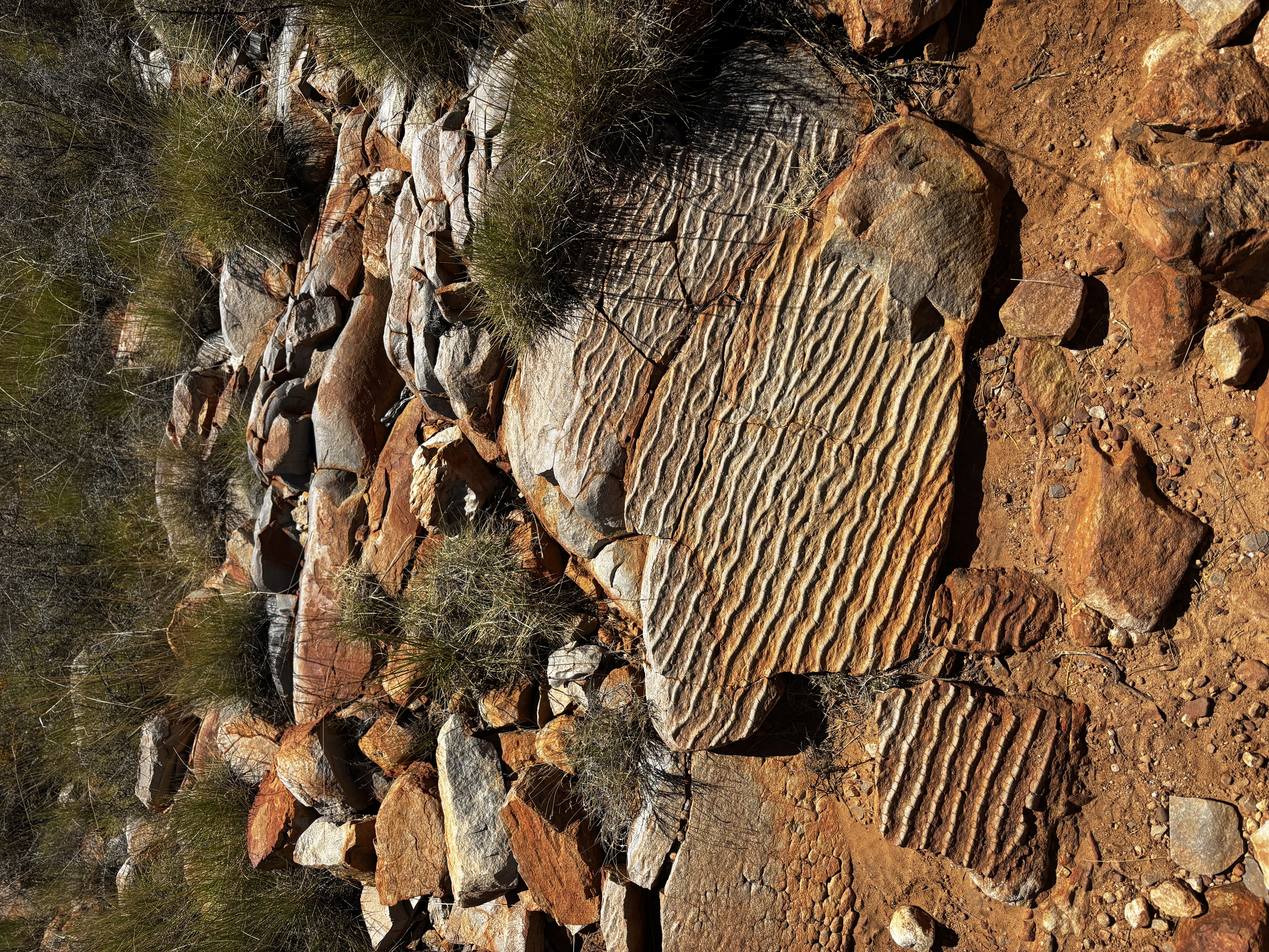Bruny_island_claire_trip Bruny_island_claire_trip